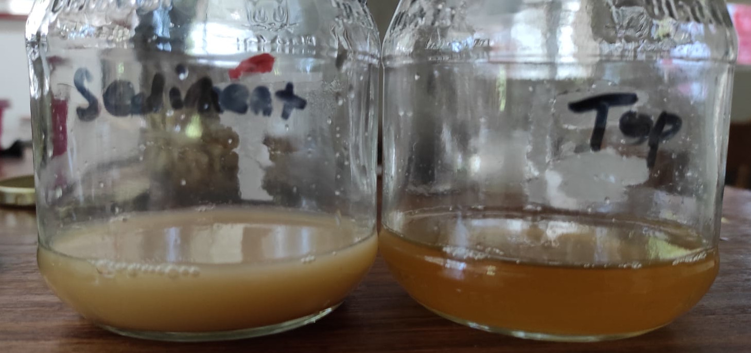 Raisin Yeast Water Producing "Yogurty" Levains The Fresh Loaf